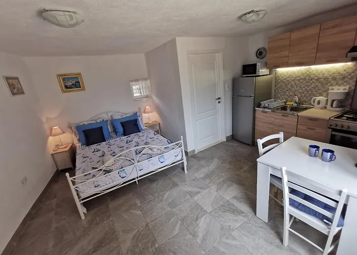 Studio Apartment Mileta